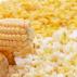 Growing corn for popcorn